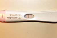 frer 001.jpg