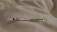 OPK CD16.jpg