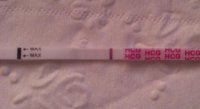IMAG2959-1.jpg