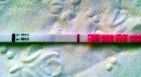 IMAG2959-1.jpg