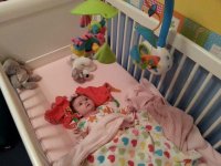 Lucy in cot.jpg