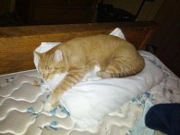 IMG_20131119_095954.jpg