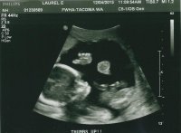 SCAN0019b.jpg