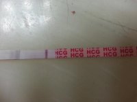 20131205_054008.jpg