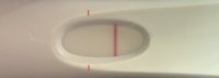 answer pink sat zoom with line.jpg