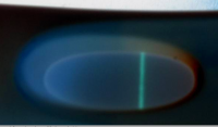 Sara's FRER invert.png