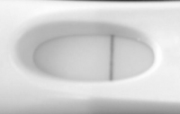 Sara's FRER greyscale.png
