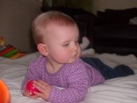 other 2010 005.JPG