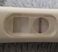 11dpo.jpg