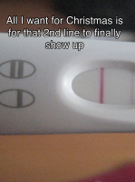 Picture 15.png