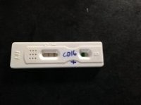 OPK cd16.jpg