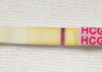 wondfo10dpo.jpg