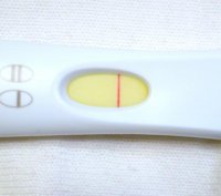 FRER10dpo.jpg