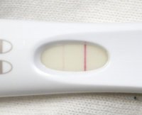 FRER11dpo.jpg