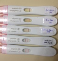 first response 1 12dpo.jpg