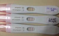 First response 2 12dpo.jpg