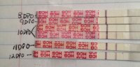wondfo 12 dpo.jpg
