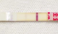 wondfo11dpo.jpg