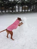 Arwen vs snowman.jpg