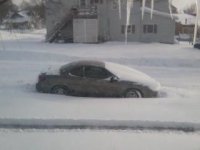 snowday 20131.jpg