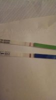 CD16M.jpg