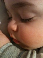 IMG_4912.jpg