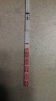 IMG_20140101_102710_182.jpg