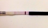 photo copy 13.jpg