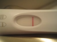 10 dpo.jpg