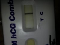 osom 4.jpg