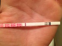photo14dpopmdiluted.jpg