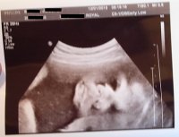 33w6dscan2.jpg