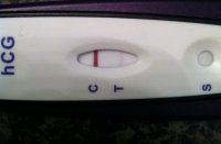 8dpo.jpg