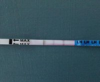 1.opk (2).jpg