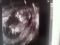 Baby 3.jpg