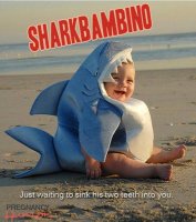 sharkbambino.jpg