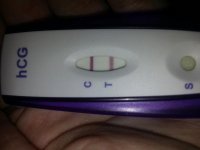 17 dpo 1.jpg