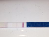 photo 2 (1).jpg