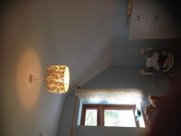 IMG_0082.jpg
