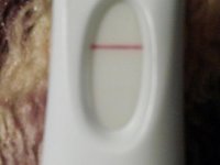 CAM01001 - Copy.jpg