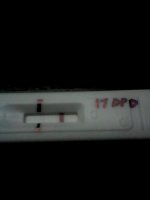 7Feb2014-17dpo - Tweaked.jpg