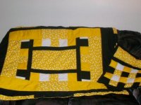 bees1.jpg