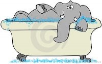 elephant-bathtub-8601545.jpg