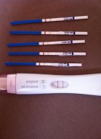 pregnancy test1.jpg