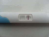 TESCOTEST1.jpg