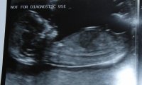 scanpic1130214.jpg