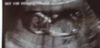 scanpic2130214.jpg