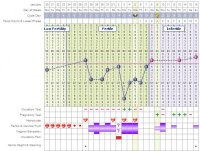 ovulationchart2.jpg