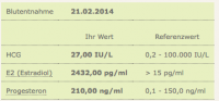 Blutwerte 21.02.2014.png