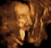 BABY_22.jpg